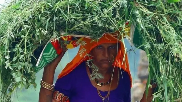 ખેત મજૂર