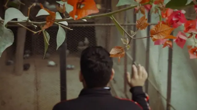 પ્રતીકાત્મક તસવીર