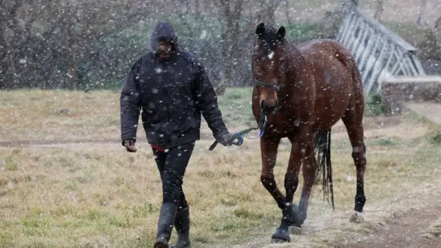 One man dey waka wit im horse inside snow