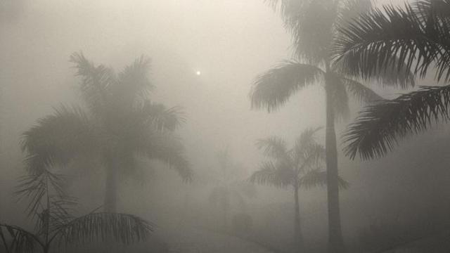 Umidadeslots 888 casinofloresta tropical,slots 888 casinoonde se vê palmas