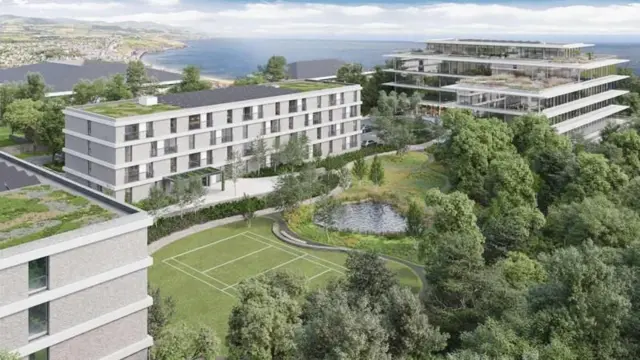 ચીન, કૌભાંડ, ઇન્ટરનેટ, યુરોપ
