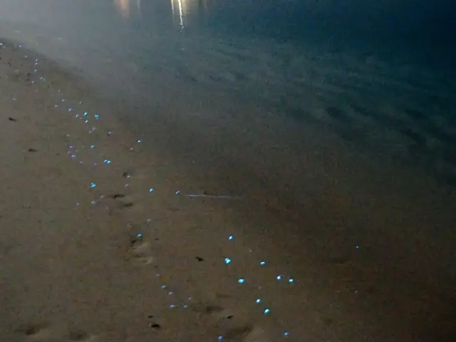 Lautan Bintang atau Sea of Stars yang banyak memikat wisatawan untuk datang ke Maladewa.