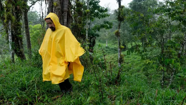 Persona con poncho amarillo camina por vegetación húmeda en un bosque.