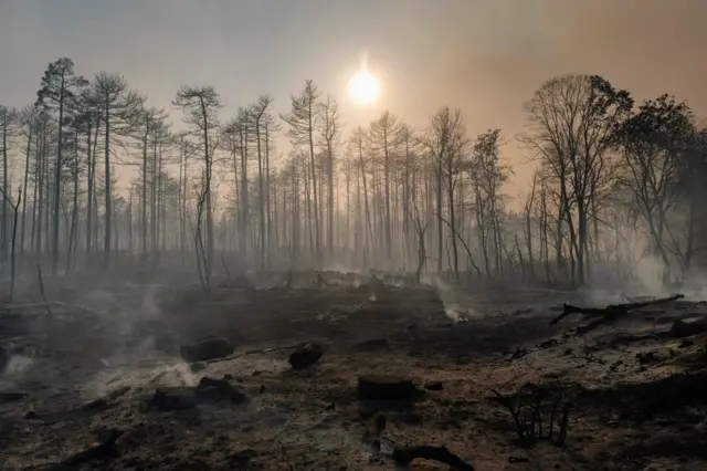 požar u deliblatskoj peščari
