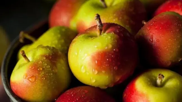 فاكهة التفاح