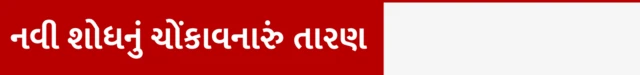 ઇન્ટરમિટન્ટ ફાસ્ટિંગ એટલે શું, તે કેવી રીતે કરવામાં આવે, ઇન્ટરમિટેન્ટ ફાસ્ટિંગના ફાયદા અને નુકસાન, હૃદયરોગની બીમારી વાળા ડાયાબિટીક કે સ્મોકિંગ કરનારાઓએ ઇન્ટરમિટન્ટ ફાસ્ટિંગ કરવું જોઈએ, બીબીસી ગુજરાતી સાથે સમજો, બીબીસી ગુજરાતી 