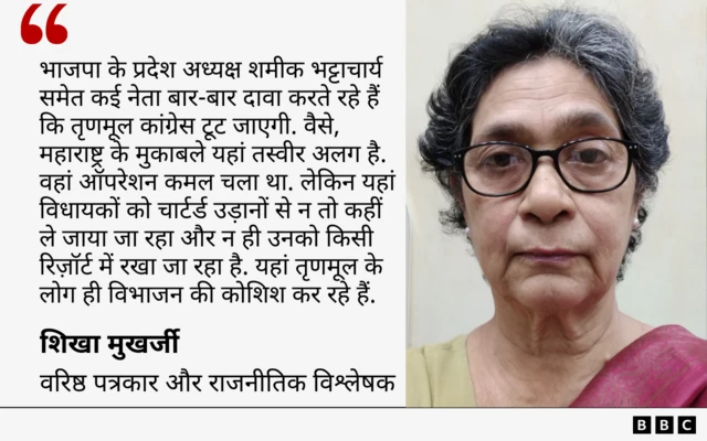 शिखा मुखर्जी का कोट
