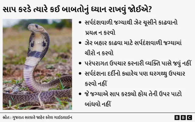 ચોમાસા દરમિયાન સાપ વધુ કરડે, સાપ કરડે શું કરવું, ભારત ગુજરાત અને વિશ્વમાં ક્યાં સાપ વધુ કરડે આંકડા, સર્પદંશ, સાપ ડંખ, બીબીસી ગુજરાતી 