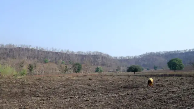 పోడు భూములు