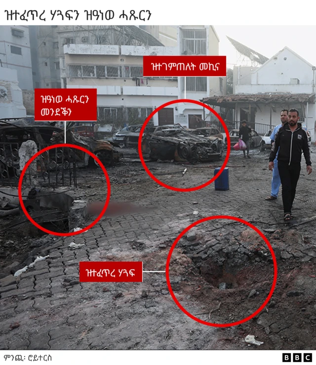 ዝተፈጥረ ሃጓፍን ዝዓነወ ሓጹርን