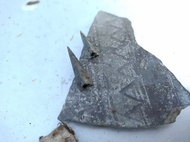 каховка знахідки