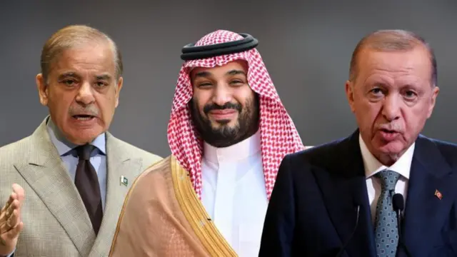 शहबाज़ शरीफ़, सऊदी के क्राउन प्रिंस और तुर्की के अर्दोआन