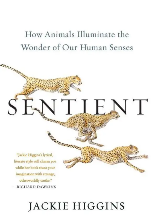 حواسِ خمسہ، سائنس