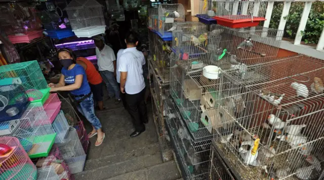 pet shop