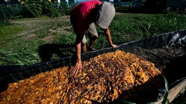 Nama xaa'oo uumamaa raammoon omishan irratti hojjcha ajiru