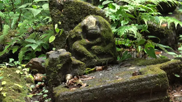 'मुख्य देवता या मातृदेवता होत्या कारण निसर्ग, पृथ्वी ही मातृदेवता असं समजलं जातं.'