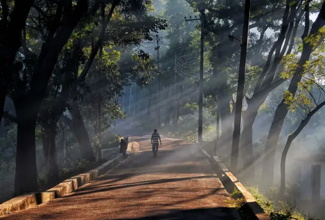 এ বছর শীতের তীব্রতার অন্যতম কারণ হলো কুয়াশা। (ফাইল ছবি)