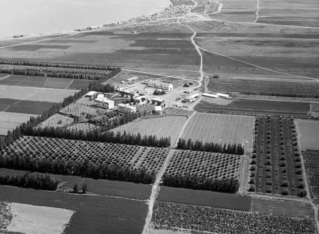 كيبوتس دغانيا