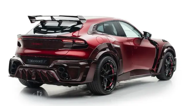 نمای عقب منصوری پوگناتور که بال بزرگ عقب را نشان می‌دهد