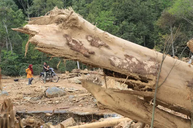 banjir sumatra, aceh tengah