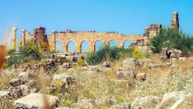 یہ شہر سترہویں صدی میں آباد ہونا شروع ہوا تھا