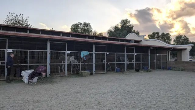 Konji koji su evakuisani zbog požara Frenklina večeruju u štali Pirs koledža