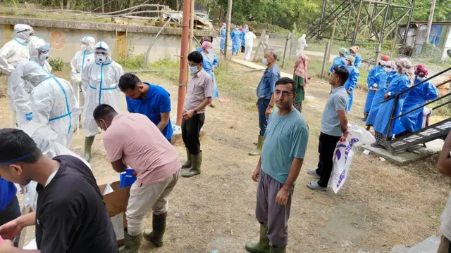 सुनसरीको एक फार्ममा बर्डफ्लू भेटिएपछि नियन्त्रणका निम्ति खटिएका अधिकारीहरू