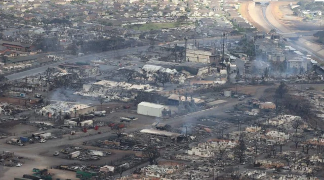 ဟာဝိုင်ယီ၊ တောမီး