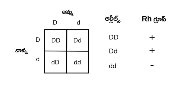 blood group