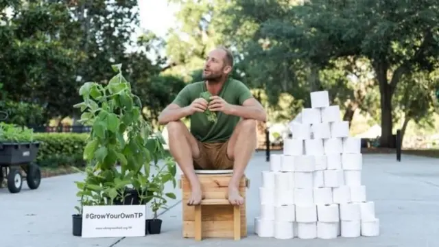 விலை உயரும் கழிவறை காகிதம் - இந்த தாவரம் தீர்வாக இருக்குமா? 