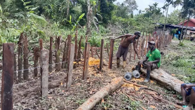 agimuga, papua