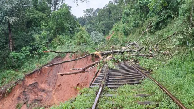 2025 නොවැම්බර් 28 වැනිදා උදෑසන දුම්රිය මාර්ගයට ගස් කඩා වැටී තිබූ අයුරු