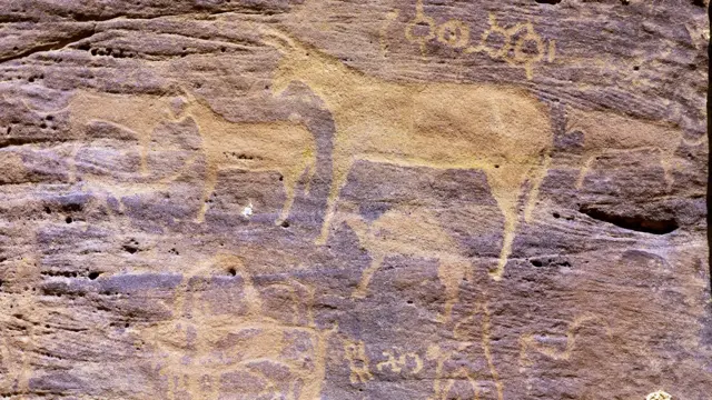  கழுதைகள்