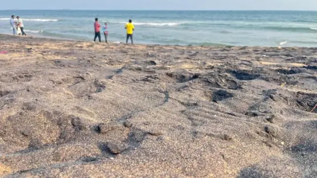 દરિયાકિનારો, વિજ્ઞાન, સમુદ્ર, રંગ, તરંગો, ગંદુ પાણી, બીબીસી ગુજરાતી