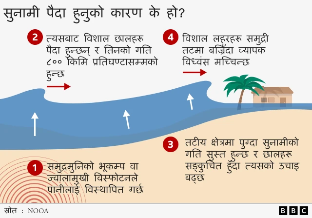 सुनामी उत्पन्न हुँदाको चित्राङ्कन