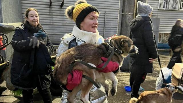 Uma ativista dos direitos dos animais carregando um cachorrobet premium bônusrua