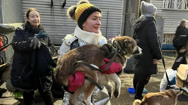 Uma ativista dos direitos dos animais carregando um cachorromelhores casas de apostas brasilrua