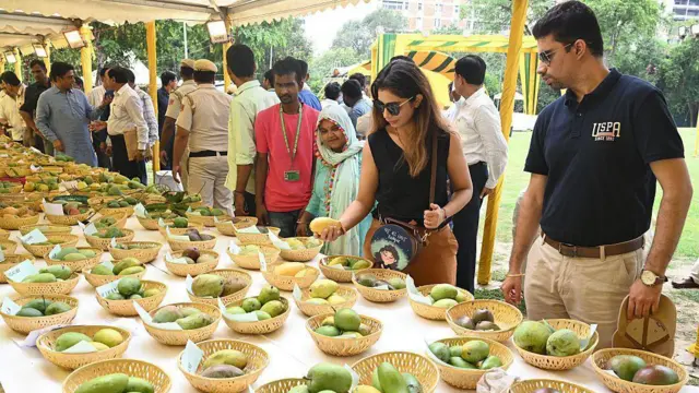 మామిడి పండ్లు