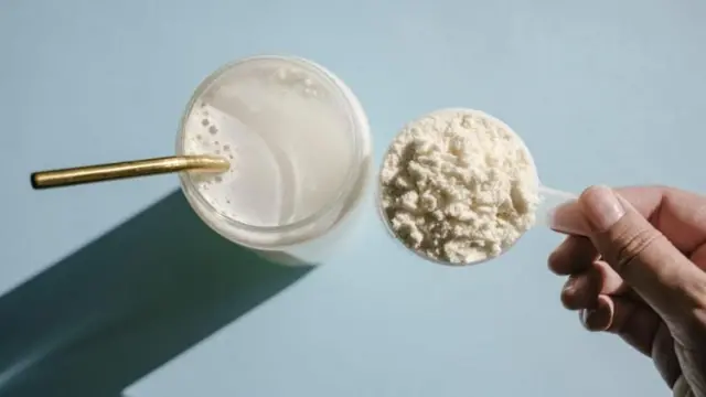 ਵੇਅ ਪ੍ਰੋਟੀਨ 