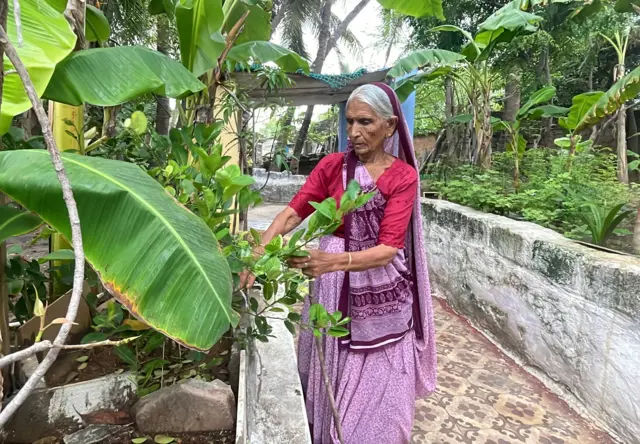 અમદાવાદ વિમાન દુર્ઘટના, એર ઇન્ડિયા પ્લેન ક્રેશ, અમદાવાદ પ્લેન ક્રેશ, દીવ, યુકે, લંડન, પોર્ટુગલ, માછીમારો, વિમાન દુર્ઘટના, બ્રિટનના નાગરિક, પોર્ટુગલના નાગરિક 
