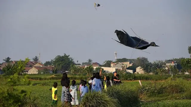 ఇండోనేసియా, బాలి, గాలిపటాలు