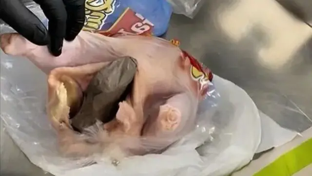 ዶሮ ስጋ ውስጥ የተደበቀ ሽጉጥ