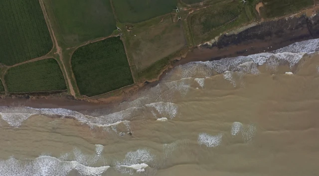 indramayu, pesisir, pertanian, swasembada pangan, pantura