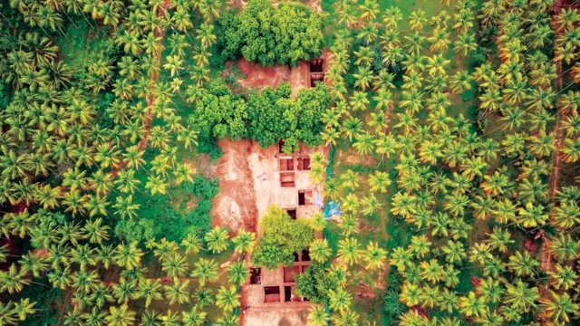கீழடி, தமிழர் நாகரிகம், இந்திய தொல்லியல் துறை, அமர்நாத் ராமகிருஷ்ணன்