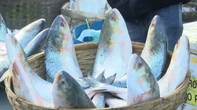 পুজোর সময় বাংলাদেশি ইলিশের বিশেষ চাহিদা রয়েছে ভারতের বাঙালীদের মধ্যে