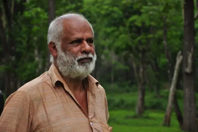 வயநாடு, யானை 