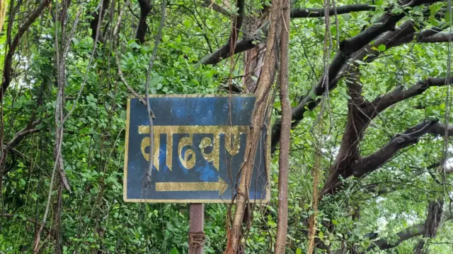 वाढवण गाव