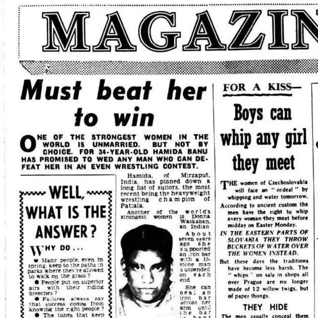 हमीदा बानो