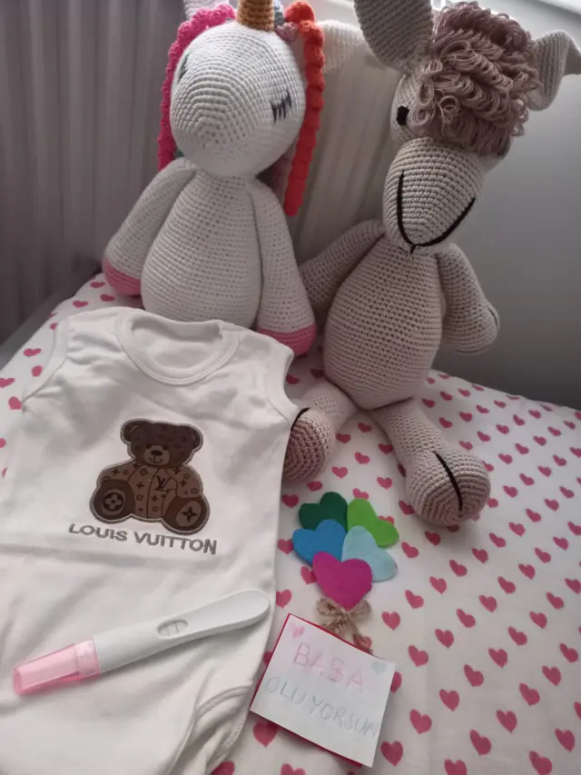 Sena Yıldırım, tüp bebek sürecinin 11. ayında ikiz bebeklere hamile kaldığını söylüyor