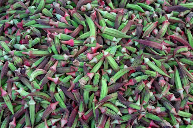 ભીંડો, શાકભાજી, ખોરાક, ખેતી, ઉત્પાદન, બીબીસી ગુજરાતી